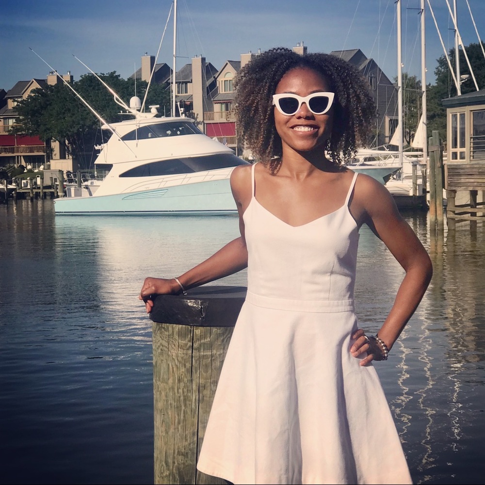 Joie Fit and Flare Dress